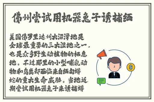 91精品产区和欧美产区的区别
